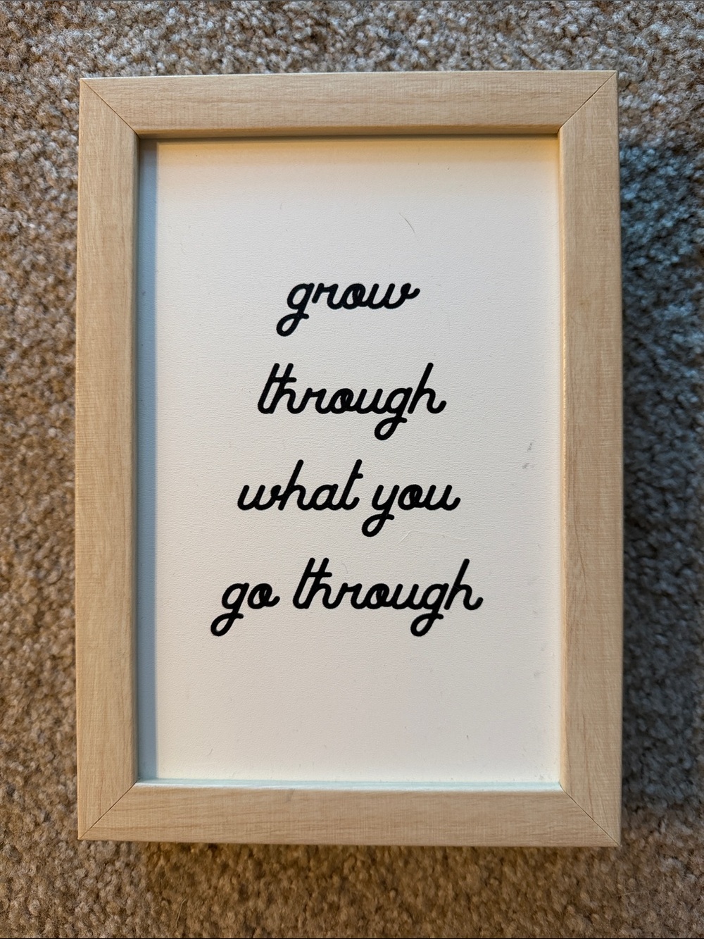Inspirational Framed Sign "grow through what you go through"